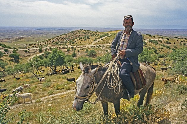 Herder in Tadzjikistan