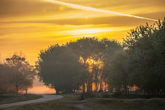 Vroeg in de AWD