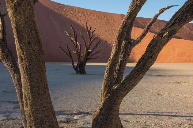 De eerste zonnestralen in Deadvlei