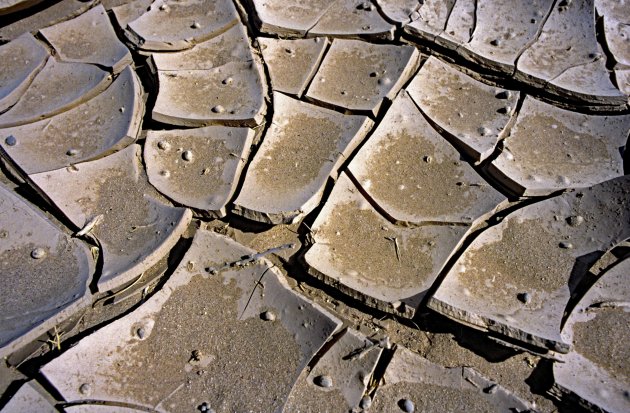 Droogte in de Hoorn van Afrika.