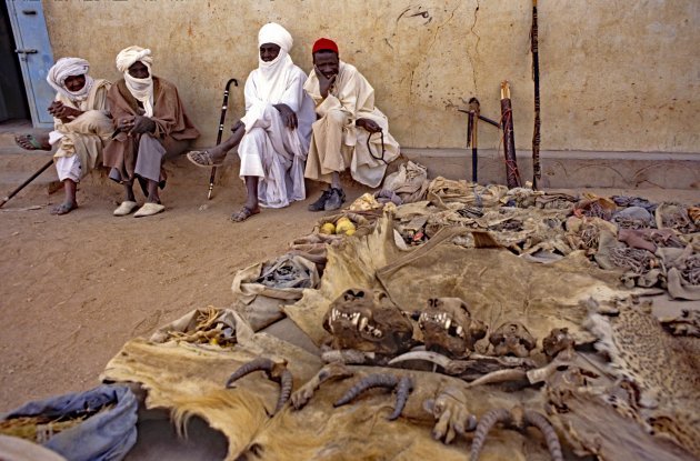 Agadez markt