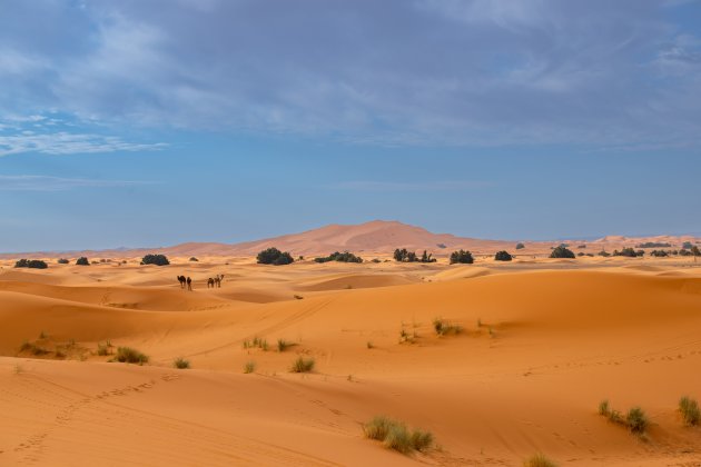 Erg Chebbi