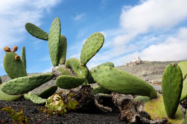 Lanzarote