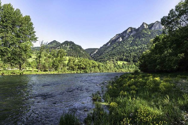 de Dunajec