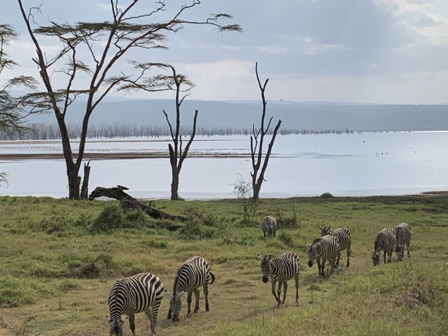 Lake Nakaru