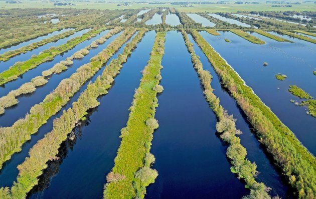 Een prachtig natuurgebied in Friesland