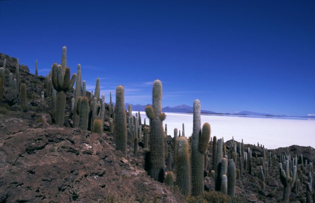 Salar de Uyuni