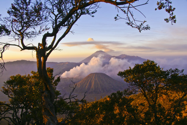 Bromo vulkaan