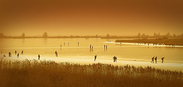 Oostvaardersplassen