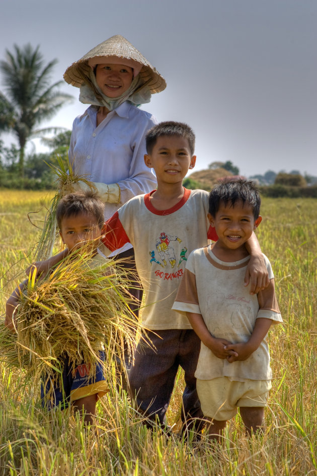 Vietnam op de reistvelden