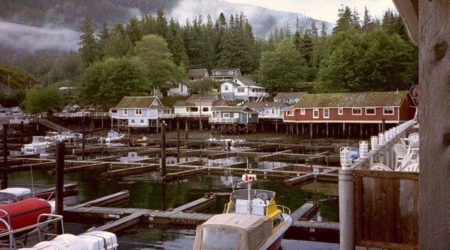 Telegraph Cove