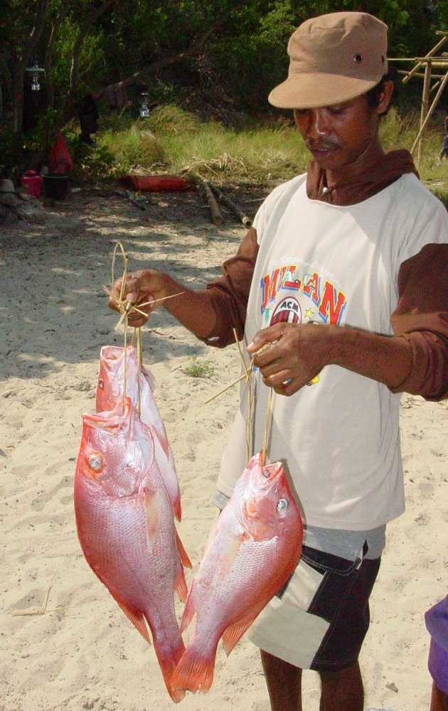 red snapper