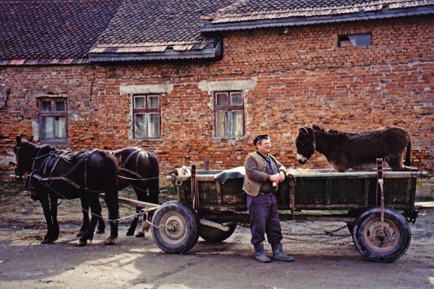 Boer Harms