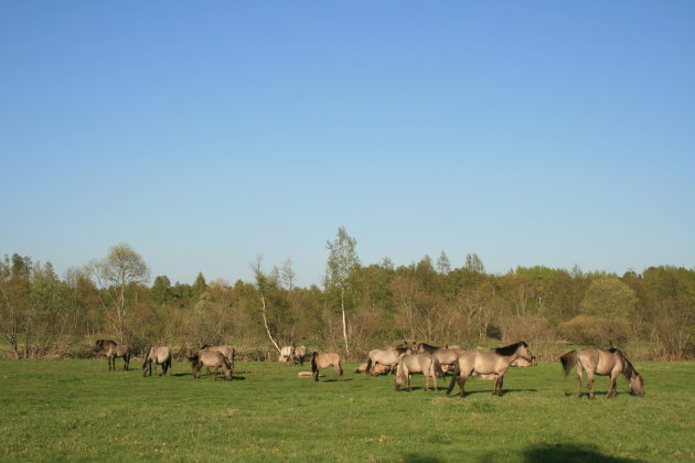 Pape Natuur Park