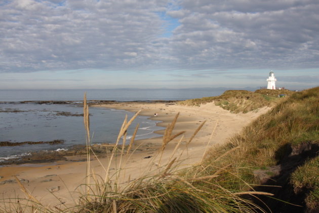 Waipapa point