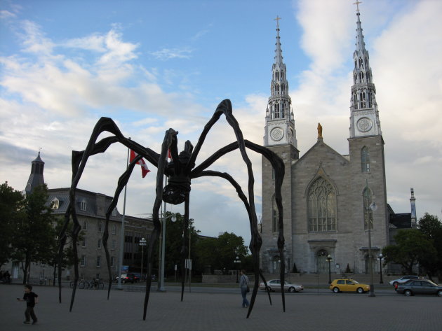 Artistic Spider