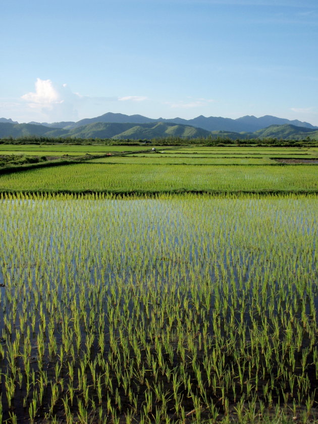 Quan Lan Island