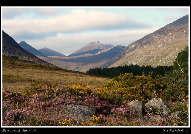 glenveagh np