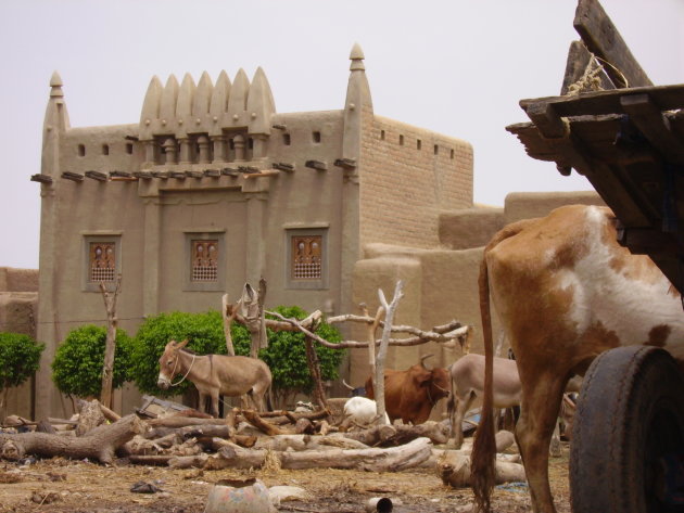 architectuur in Djenne