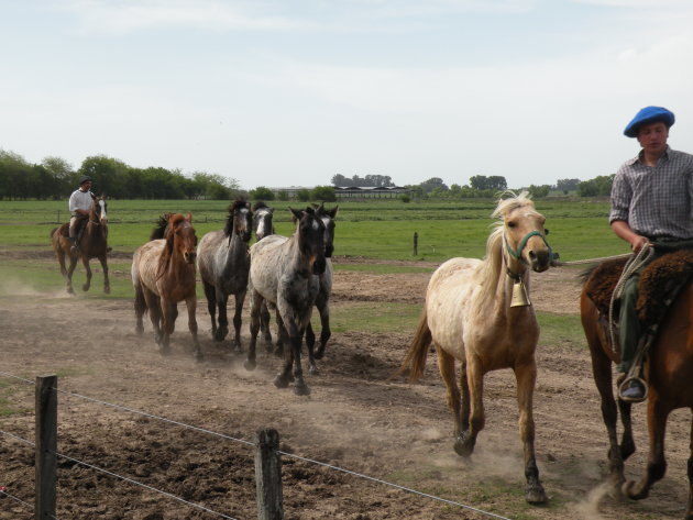 Gauchos op de Pampa