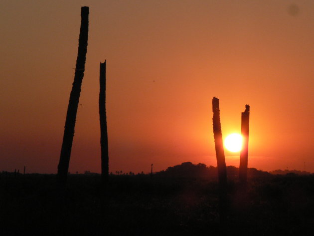 Esteros del Iberá