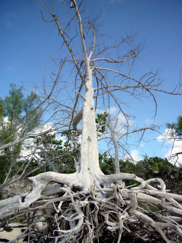 Lucayan National Park