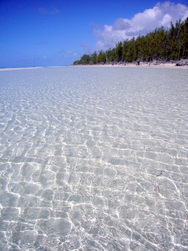 Gold Rock Beach