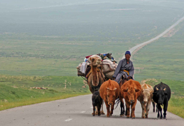 Onderweg naar Ulaan Baatar