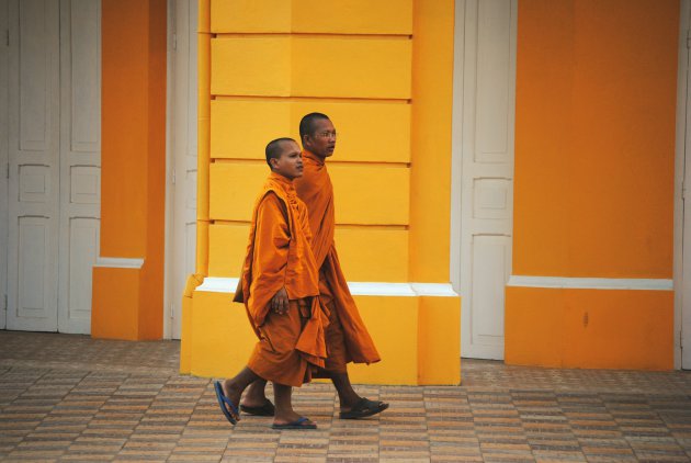 Lucky shot in Cambodja