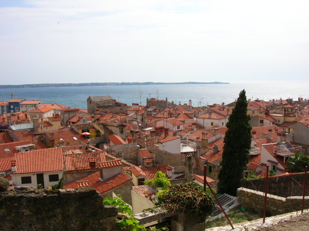 Pano Piran