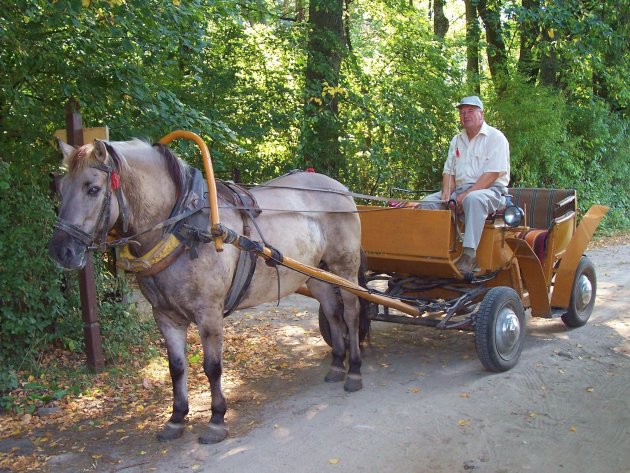 Gids park Bialowieska