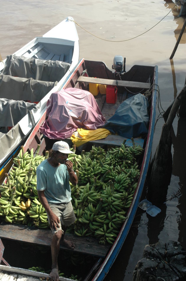 Bananen op transport