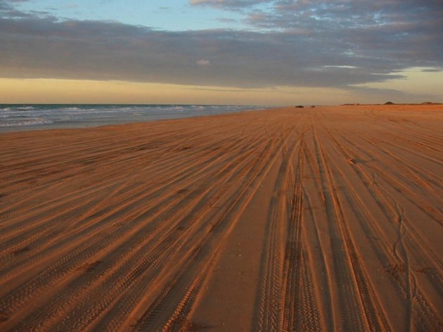 Bandensporen op Cable Beach.