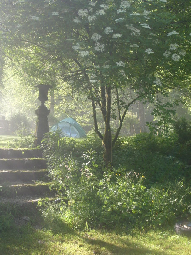 Tent onder de bomen