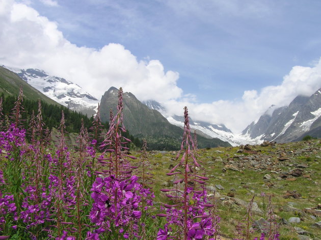 Lötschental 