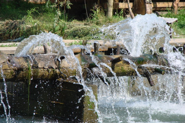 Waterspeeltje