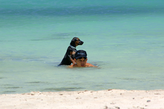 A Man and his Dog