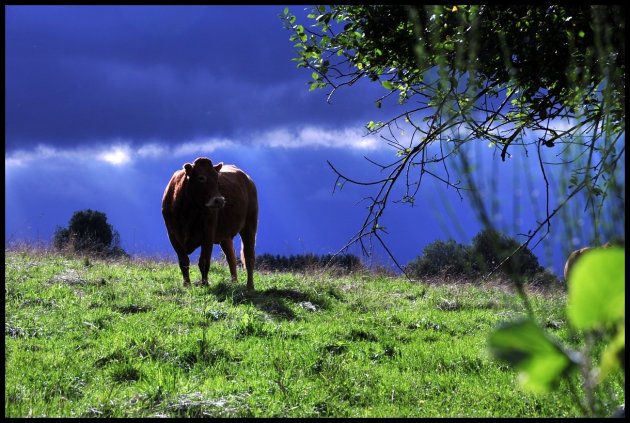 Ploeteren door de Ardennen