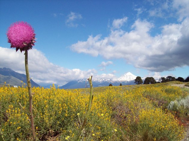 Parque Nacional Lanin