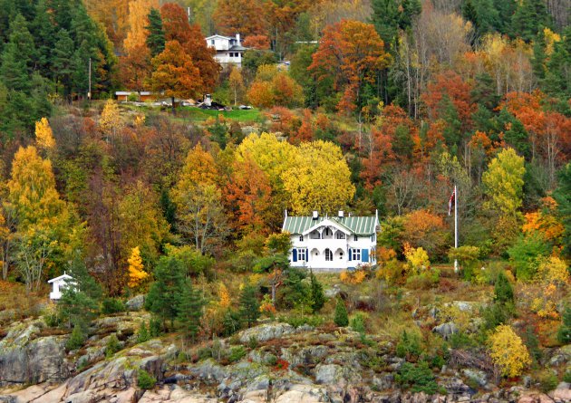 Norwegian woods