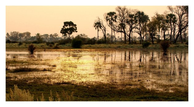 Zonsondergang in Moremi