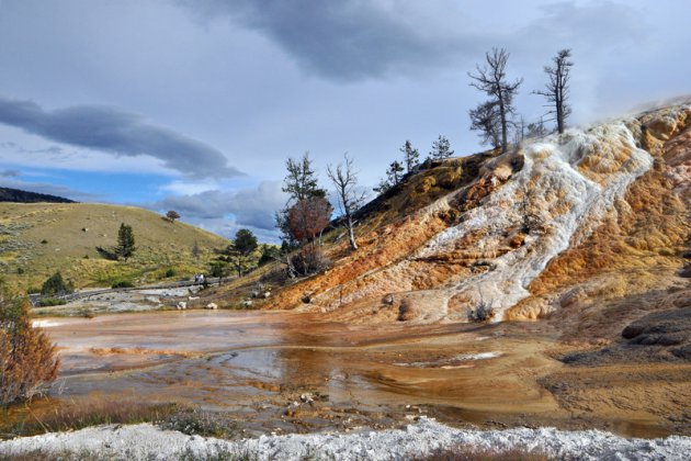 Mammoth Hot Springs 