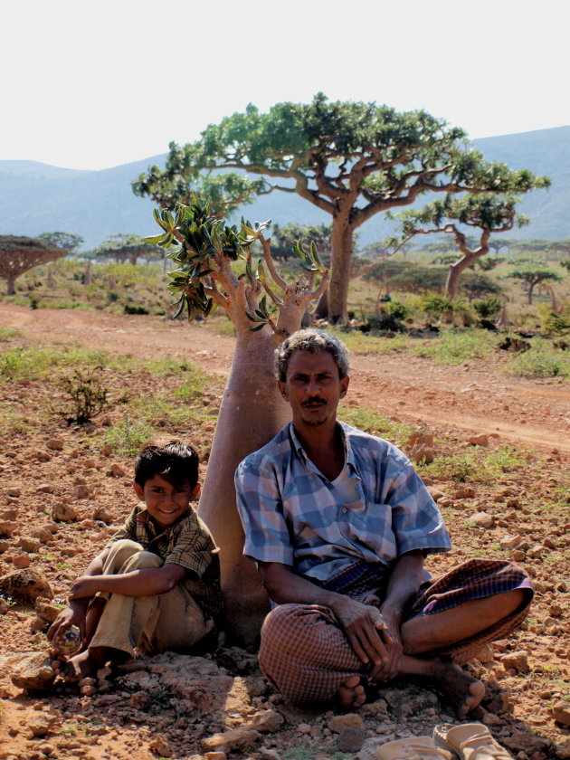 Locals voor Bottle tree