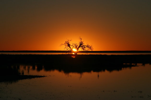 Simpson desert