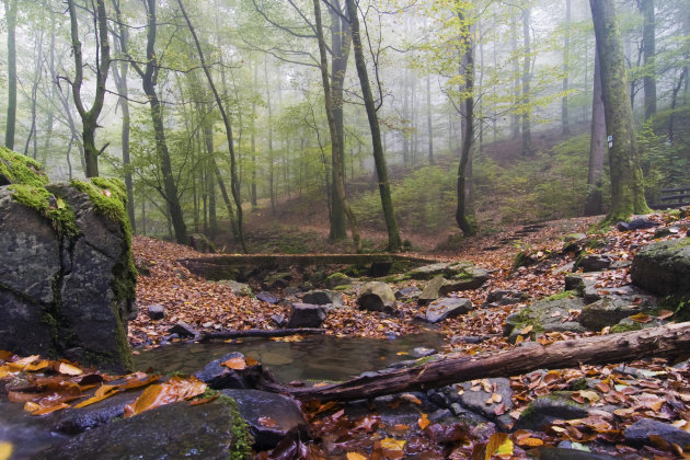 Herfstwandelen