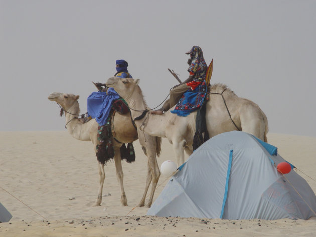 festival au desert en nachtrust?