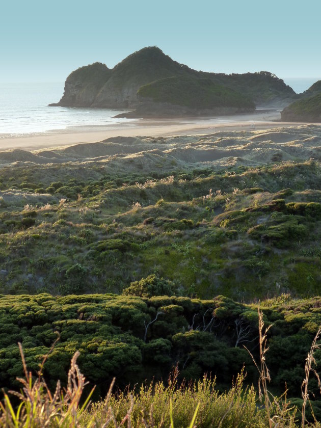 Bethells Beach