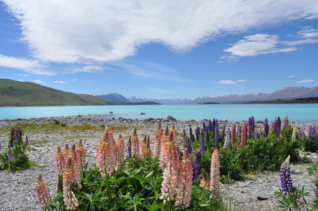 Lake Tekapo