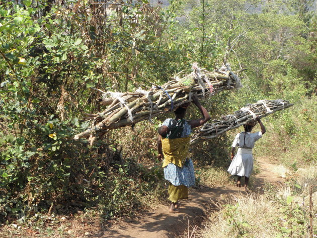 Malawiaanse vrouwen dragen takkenbossen de berg af