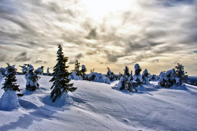 Wintersprookje